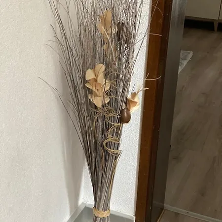 Casa Rosina - Caramella, Nel Nucleo, Ai Piedi Della Verzasca- Prázdninový dům Gordola